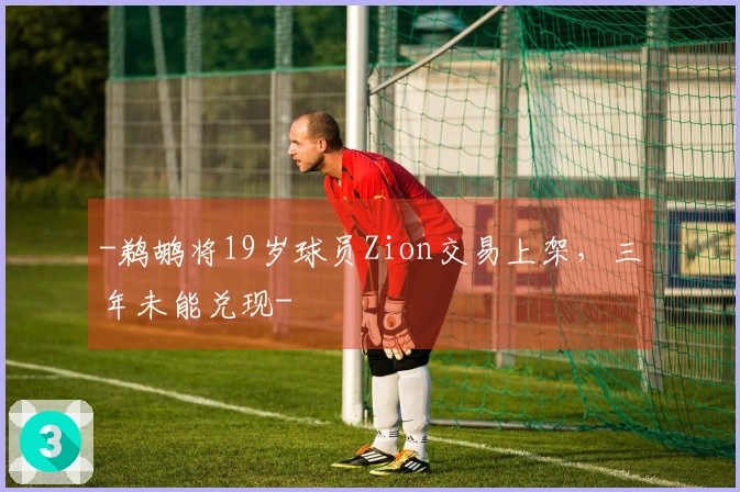 -鹈鹕将19岁球员Zion交易上架，三年未能兑现-